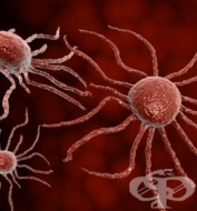 ������� �� �� ������ �� ����� ���������� ������ � ������� � ����